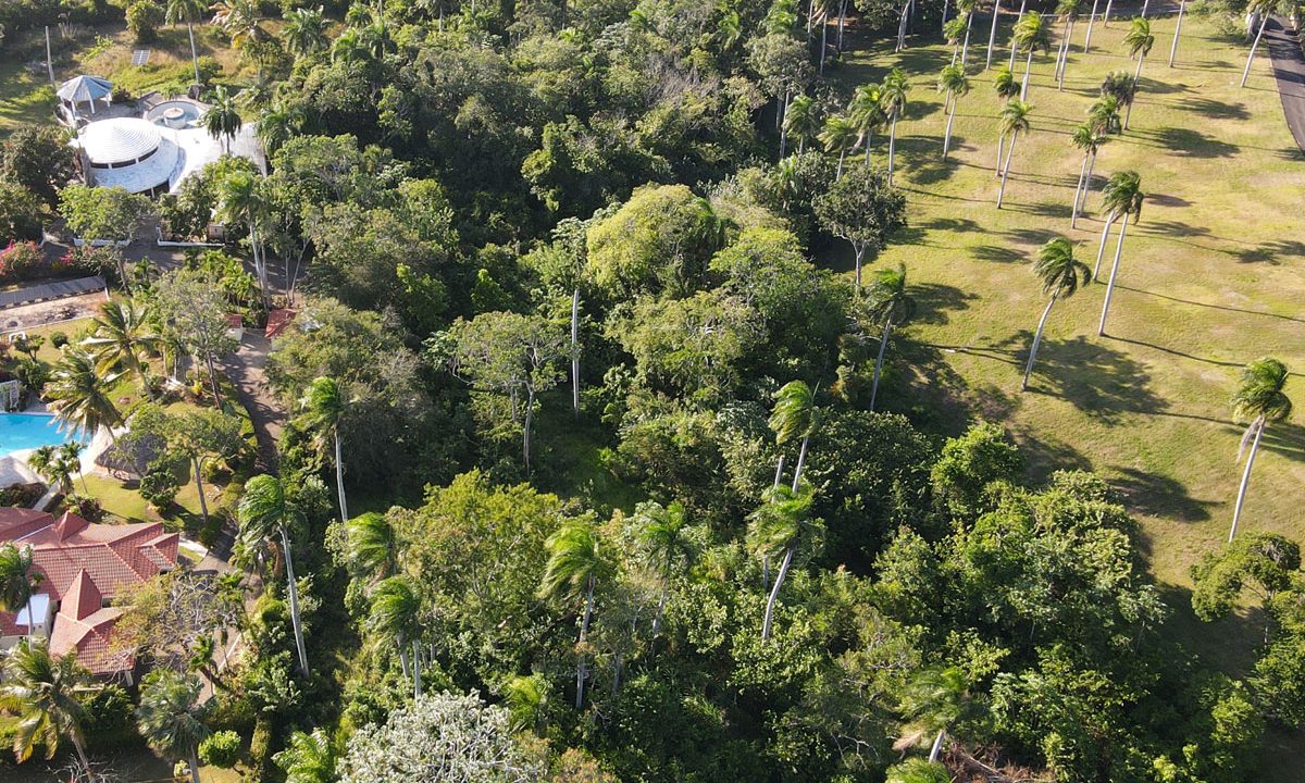DJI_0010