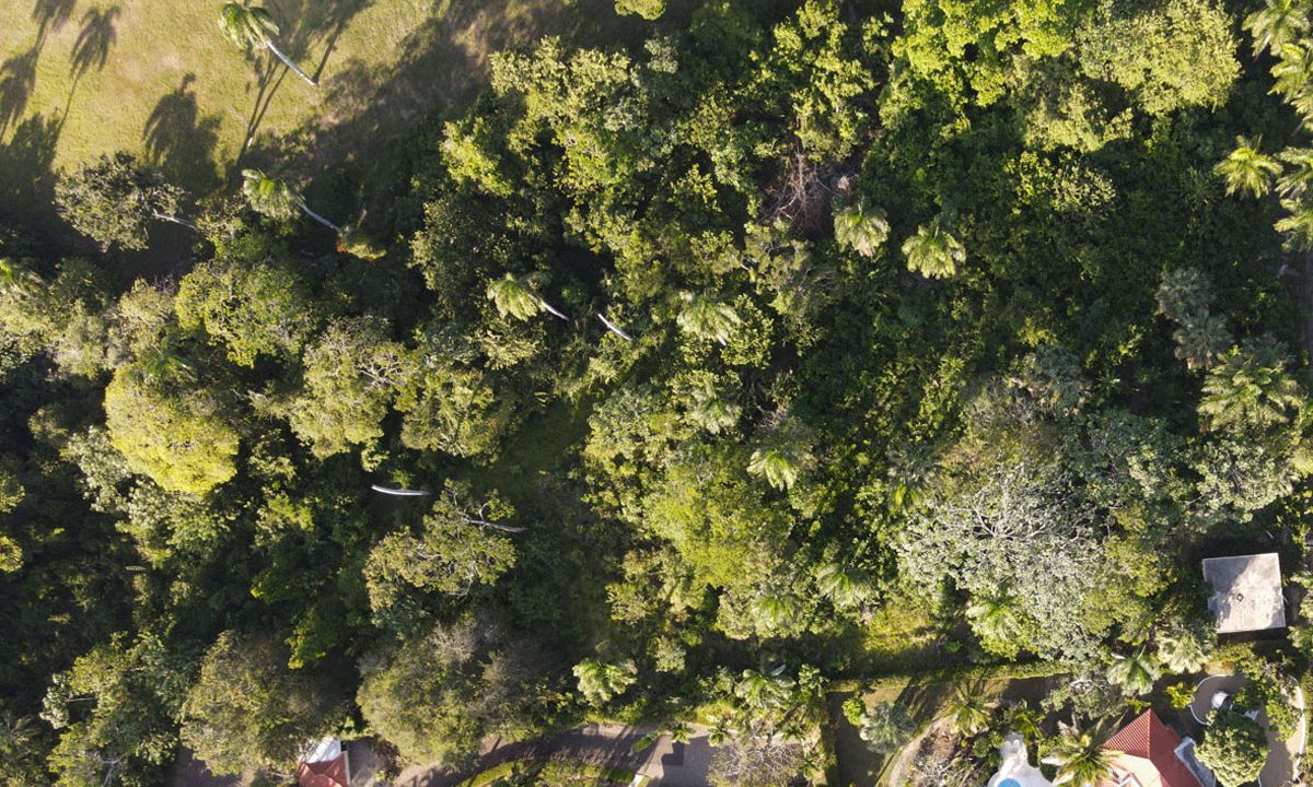 DJI_0021
