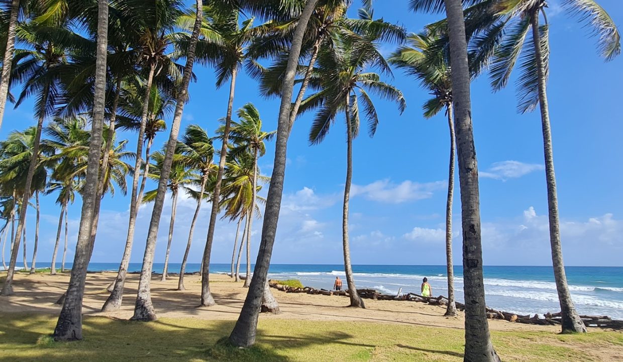 Beachfront land at Encuentro, Cabarete