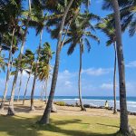 Beachfront land at Encuentro, Cabarete