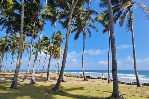 Beachfront land at Encuentro, Cabarete