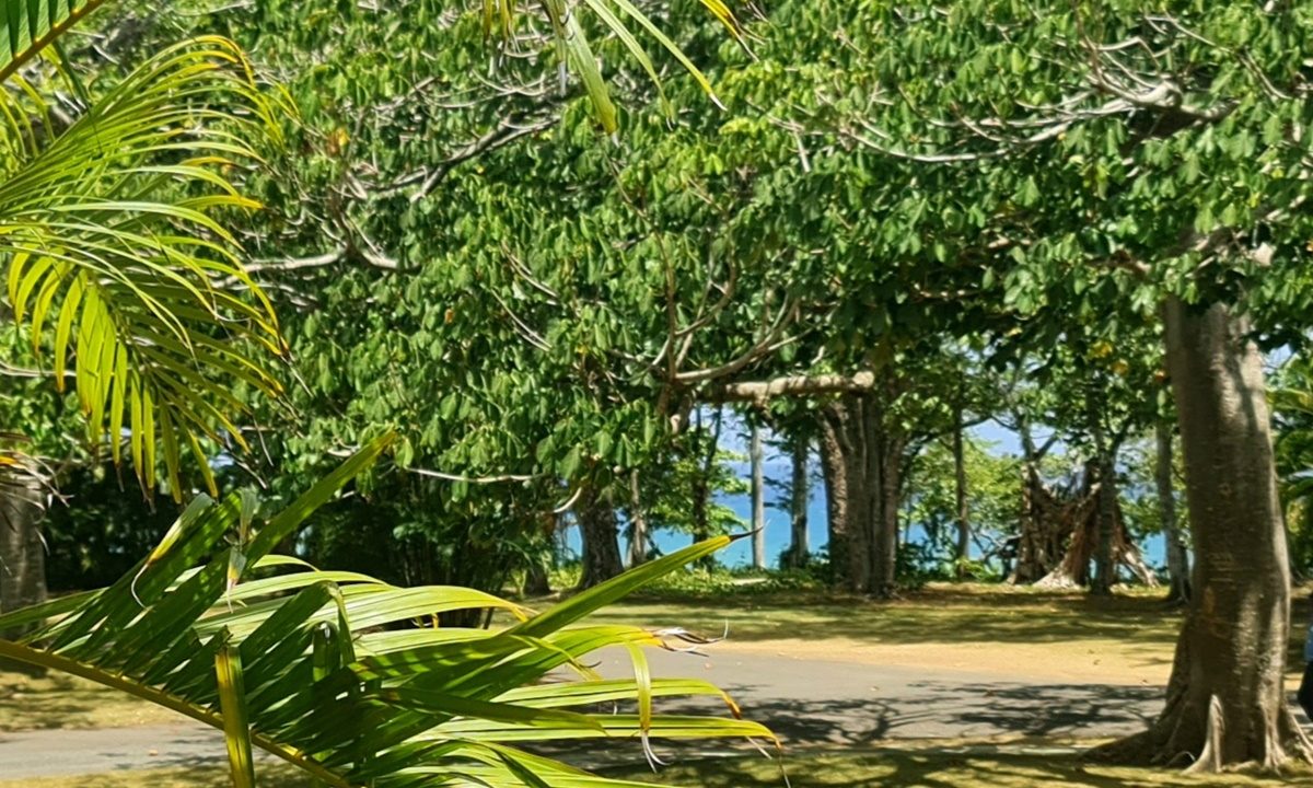 05 (2)