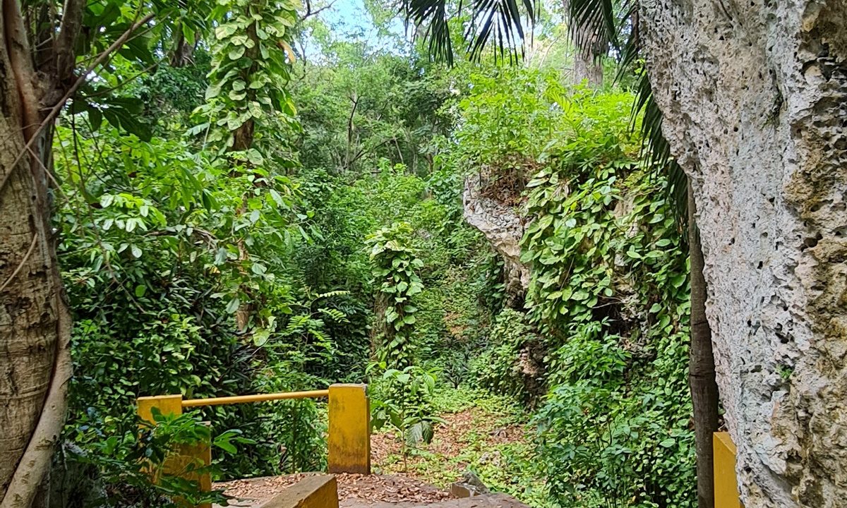 Beach Trail 2