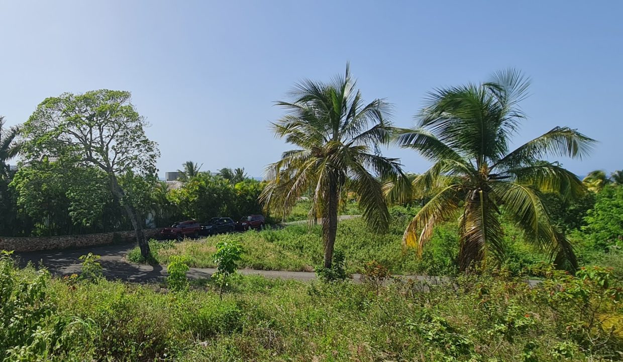20210727_154846 rd