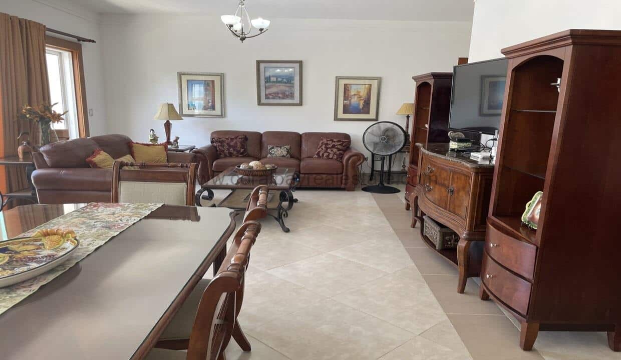 jardín azul 16