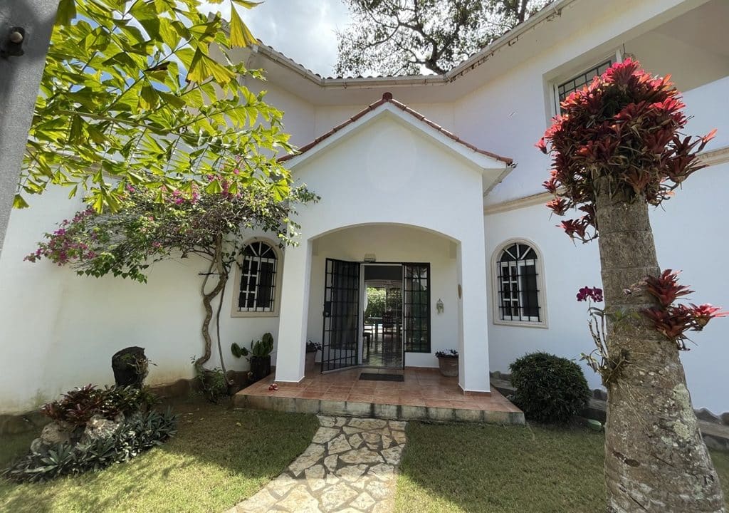 mulata 11