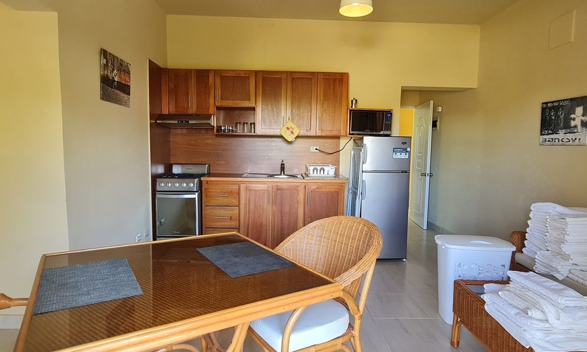 Apartment 1st floor (2)