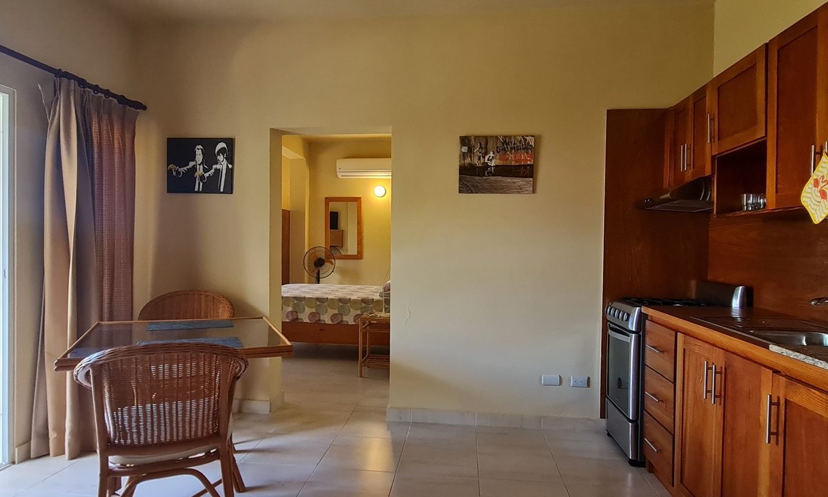 Apartment 1st floor (4)