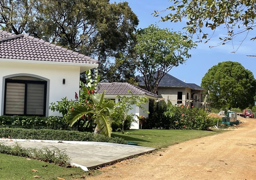 hisp nuevo 5
