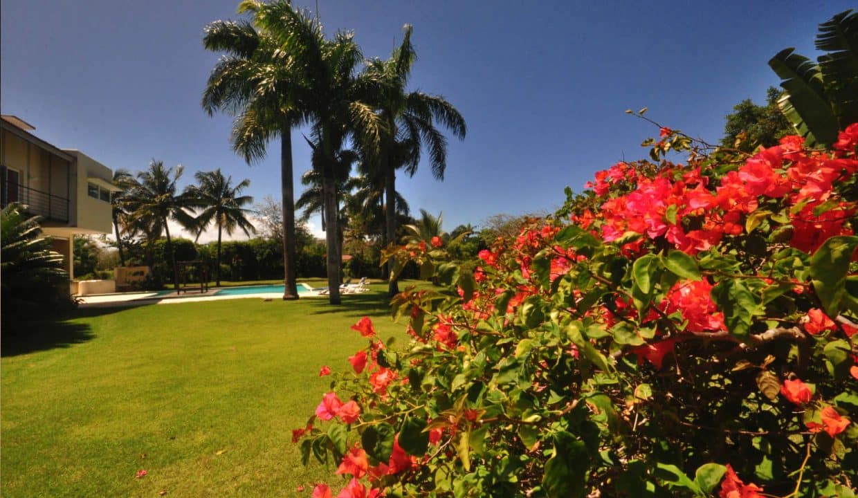 Garden5
