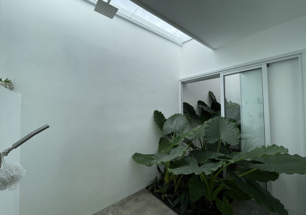 la mulata 4b