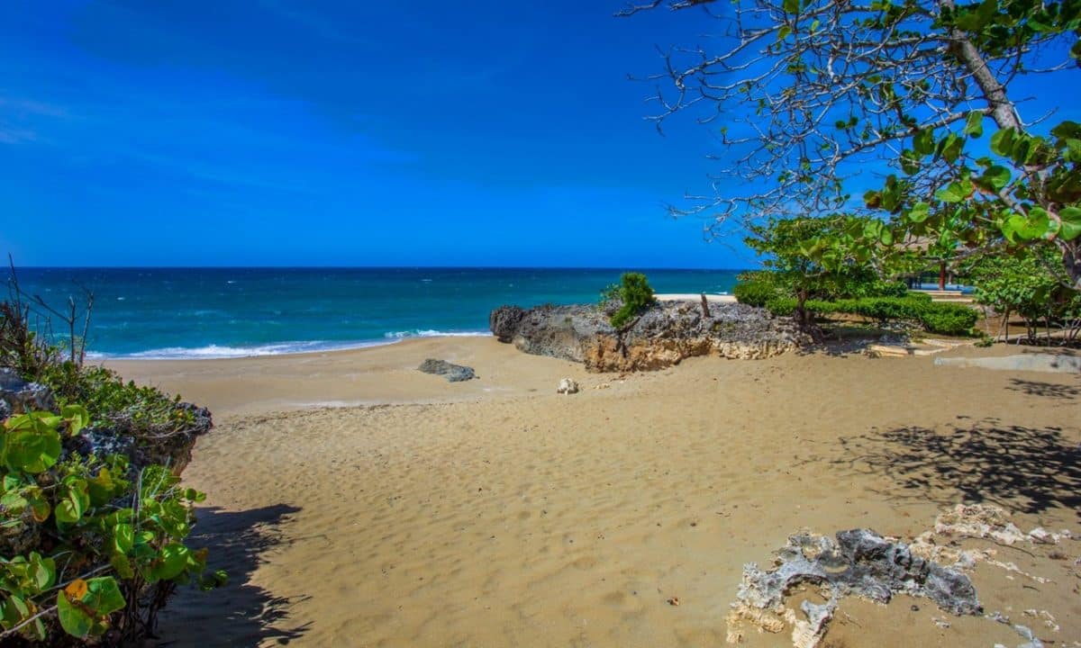 beach (4)
