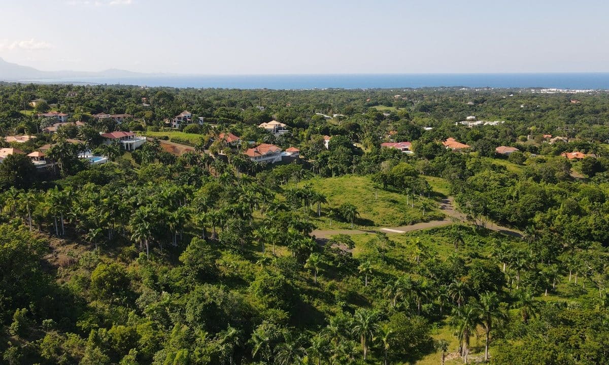DJI_0094 (Drone Photos)