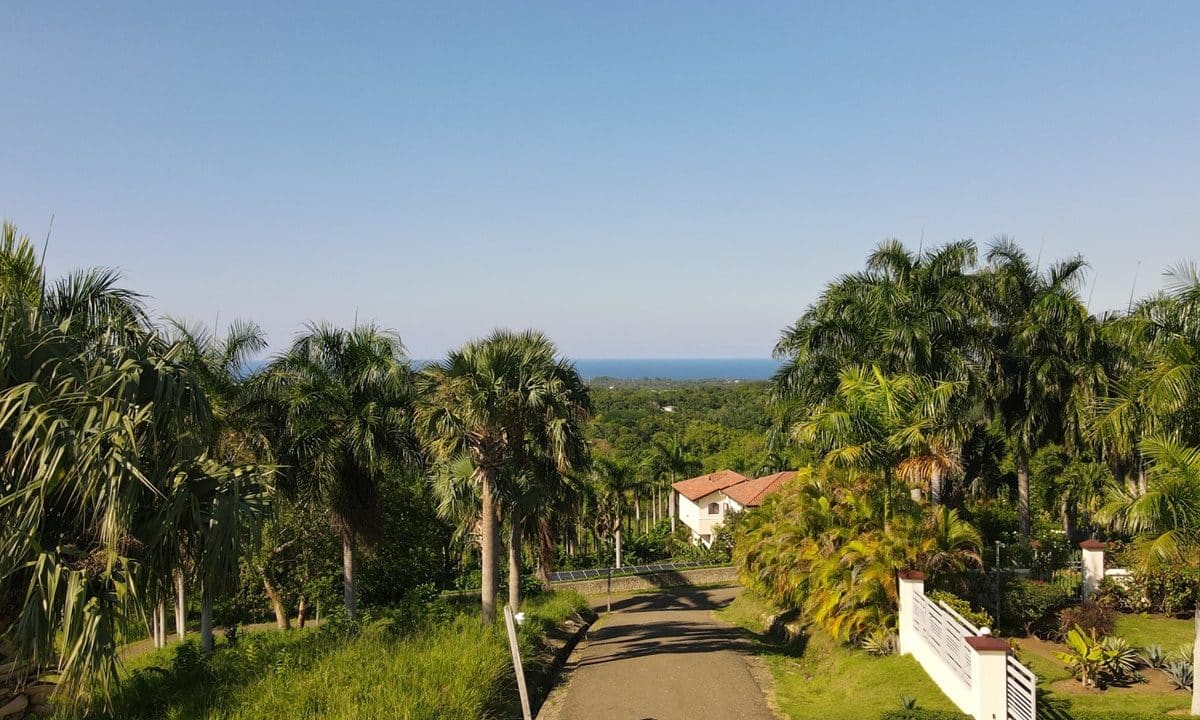 DJI_0102 (Drone Photos)