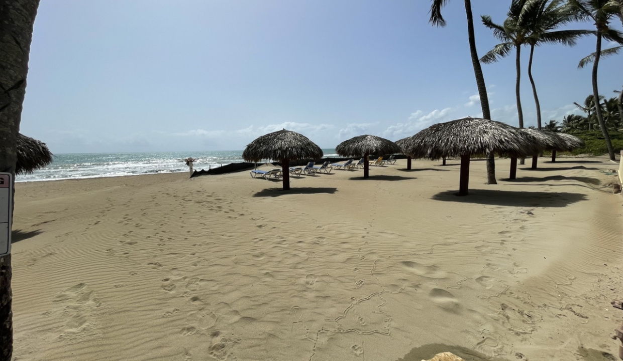 orilla 219b