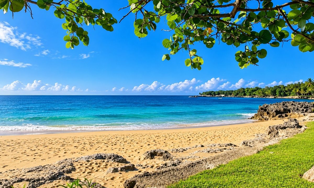 Tropical Beach Framed by Greenery